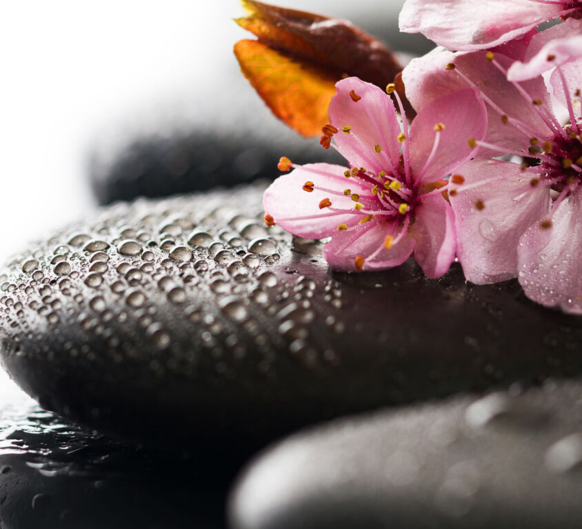 Hot Stone Massage (Demo)