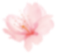 flower_2.png (Demo)