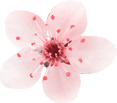 flower_4.png (Demo)